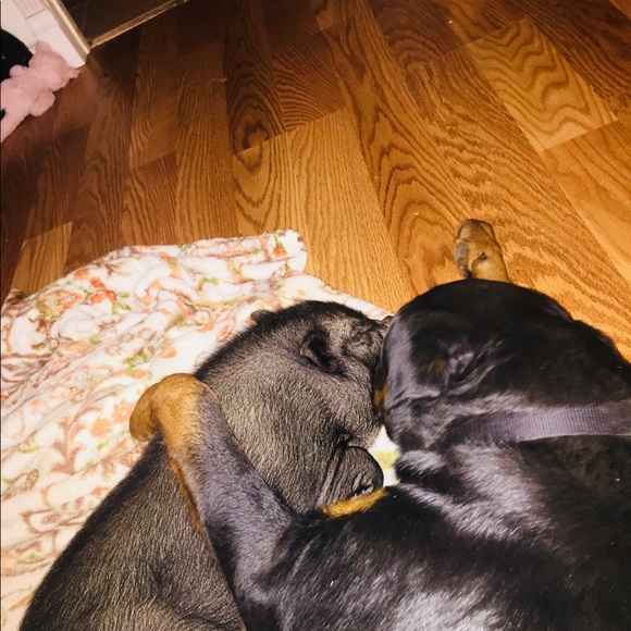 Meet your Posher, Cynthia - Picture 4 of 6